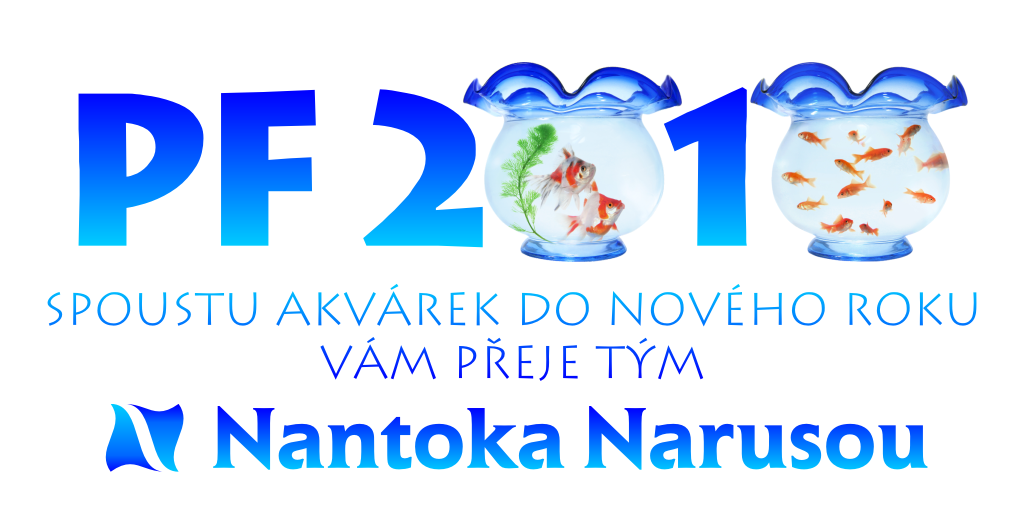 PF2010 Nantoka Narusou